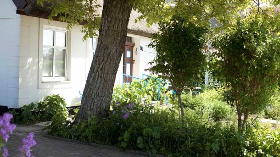 Zu sehen ist eine seitlich Ansicht von Schillings Gästehaus in Schaprode auf der Insel Rügen mit Bäumen davor.