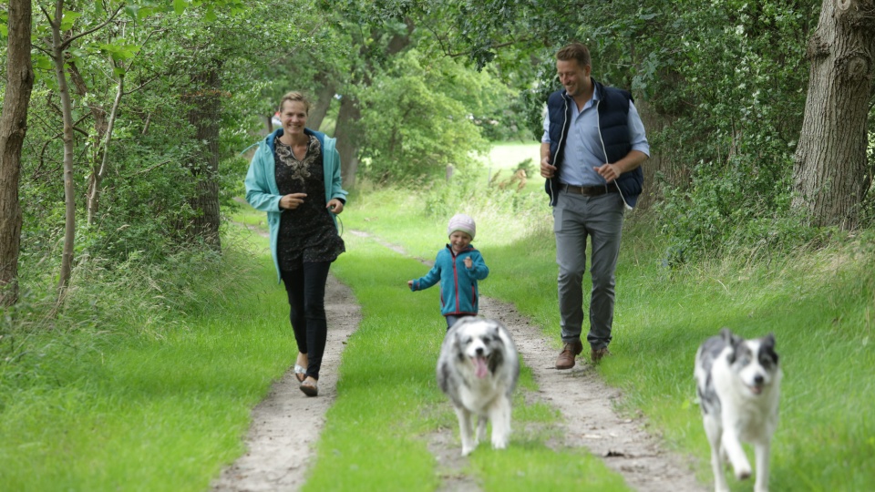 Nicolle und Mathias Schilling laufen mit ihrem Kind und zwei Hunden eine Baumallee auf der Insel Öhe entlang.