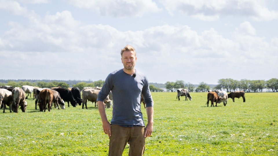 Mathias Schilling steht auf einer Kuhweide auf der Insel Öhe. Im Hintergrund grasen seine Kühe.